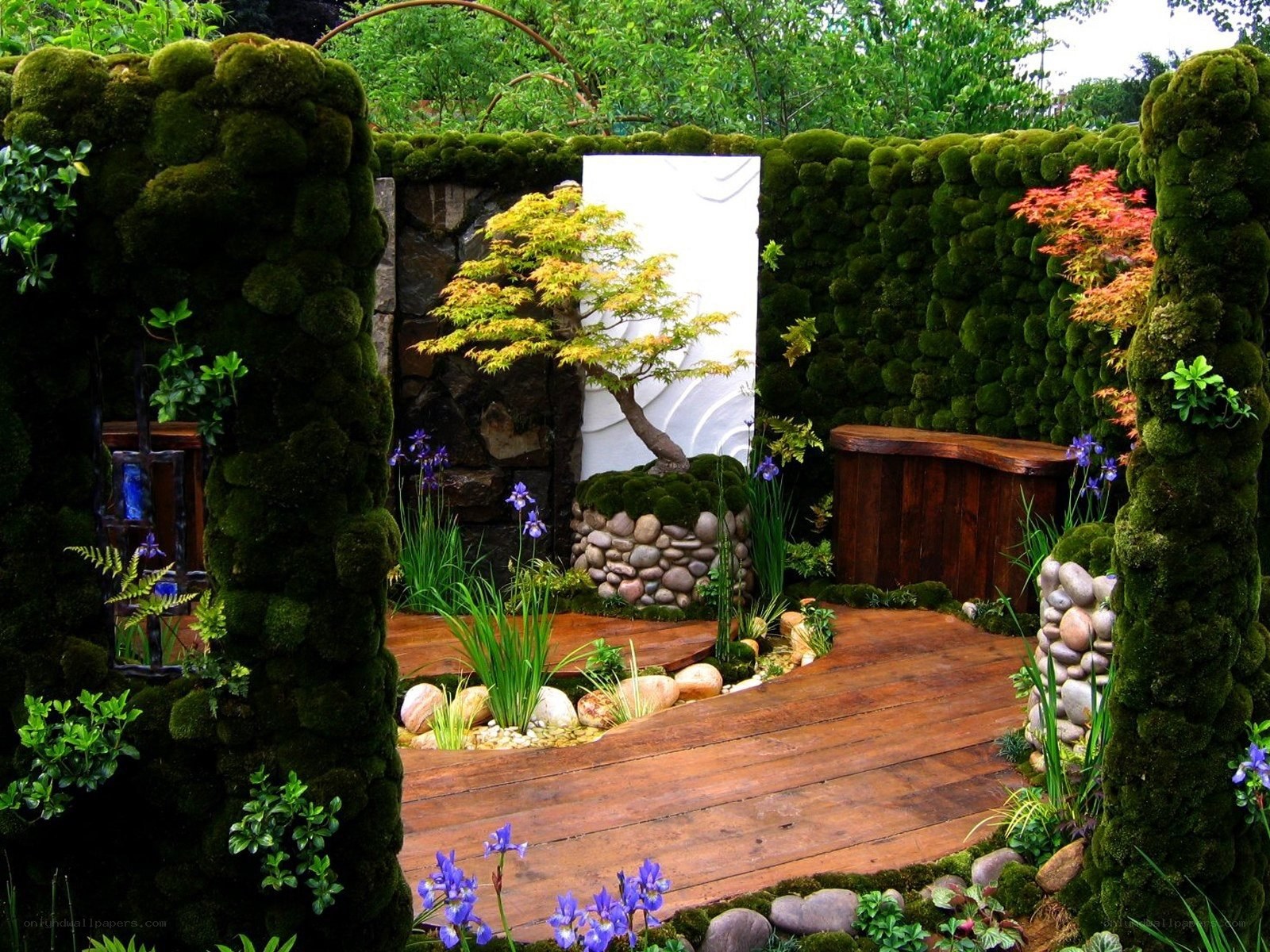 Moss-covered garden with wooden path