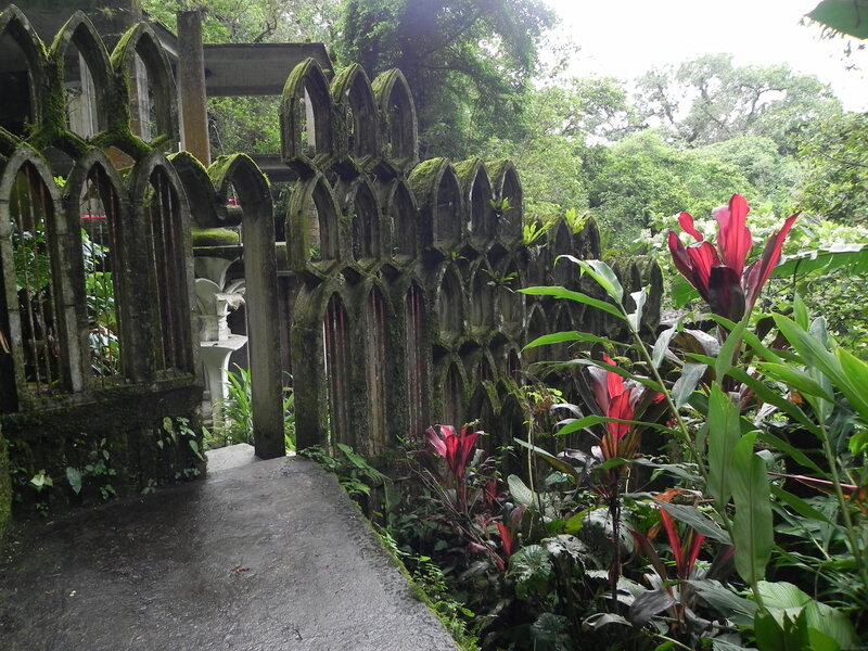 Moss-covered gate in a tropical garden