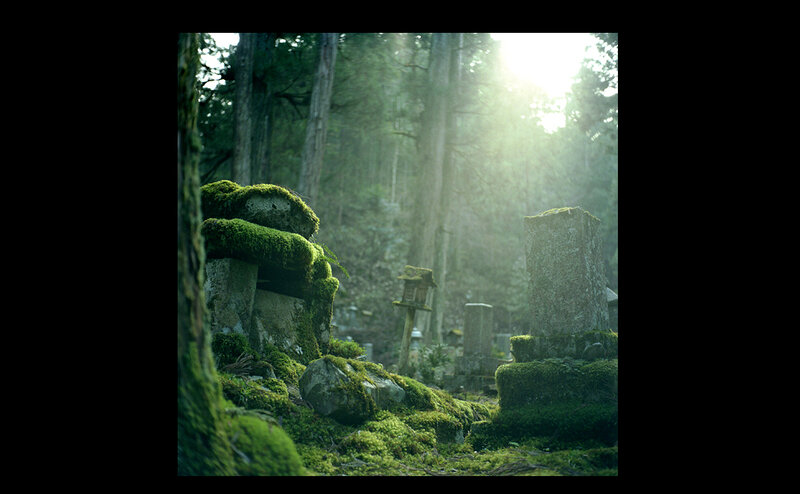 Moss-covered graves in a forest