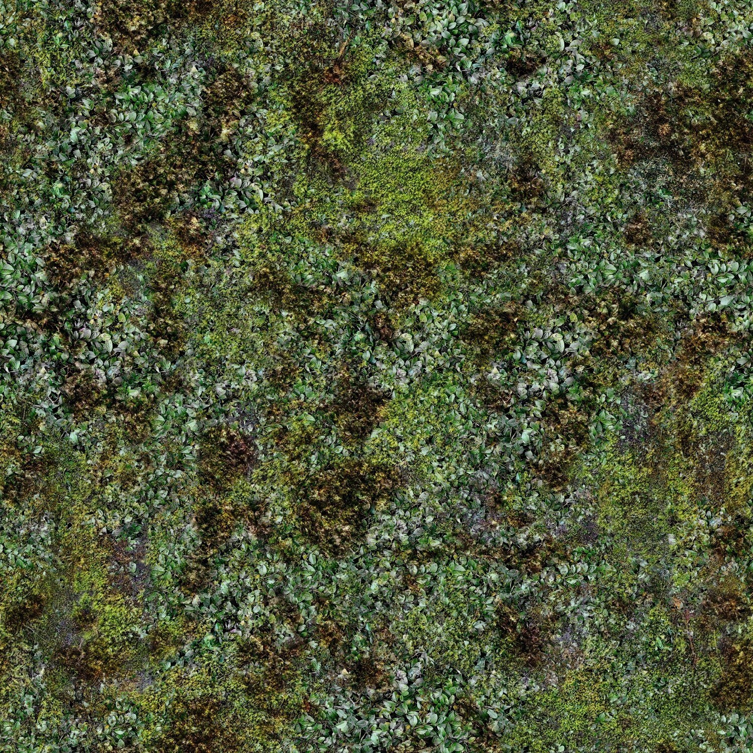 moss-covered ground texture
