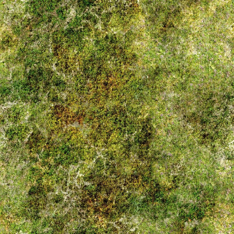 moss-covered ground texture