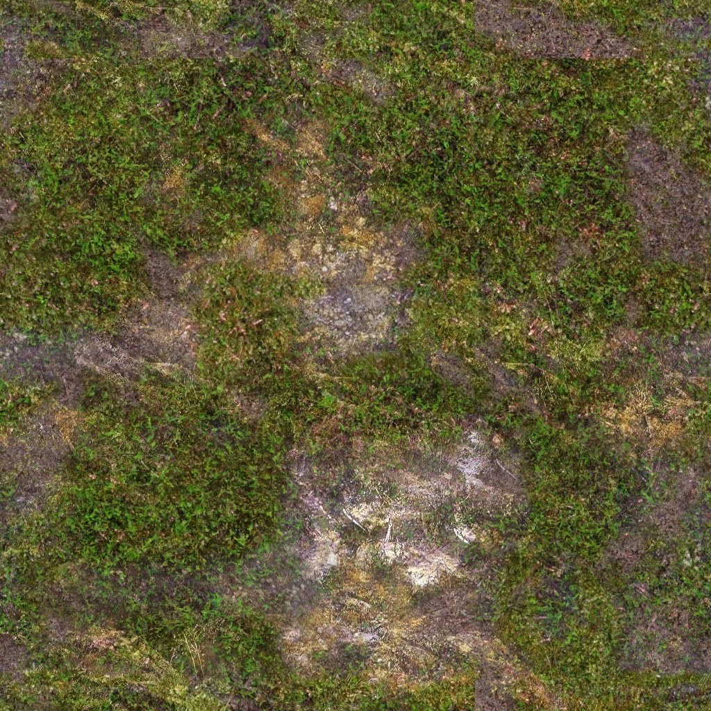 moss-covered ground texture