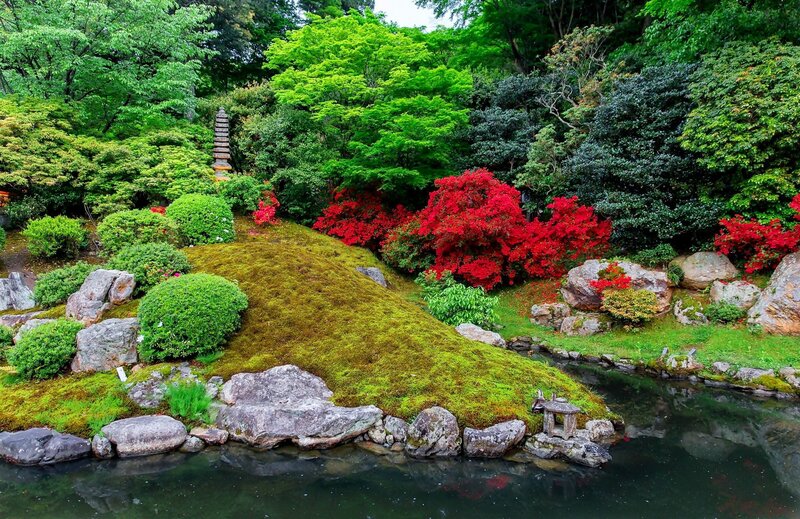 Moss-covered Hill in Garden