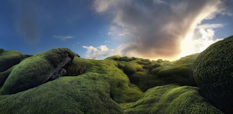 Moss-covered Hills — Green, Dramatic