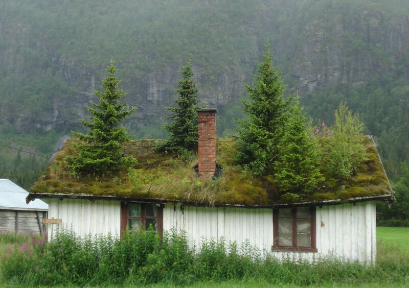 Moss-covered House