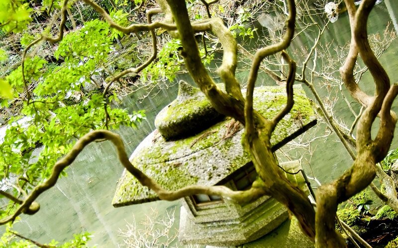 Moss-covered lantern by a pond