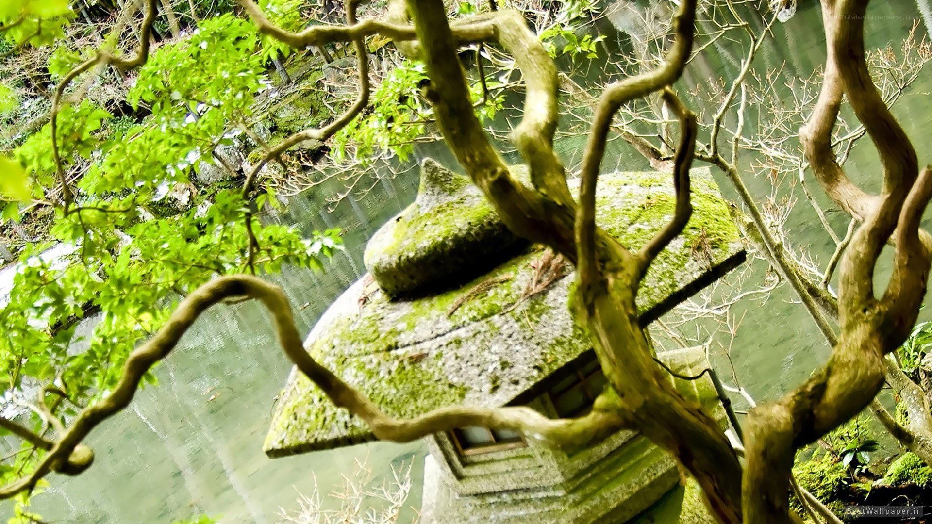 moss-covered lantern by the pond