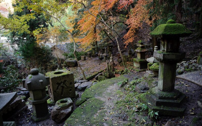 Moss-covered lanterns in autumn forest