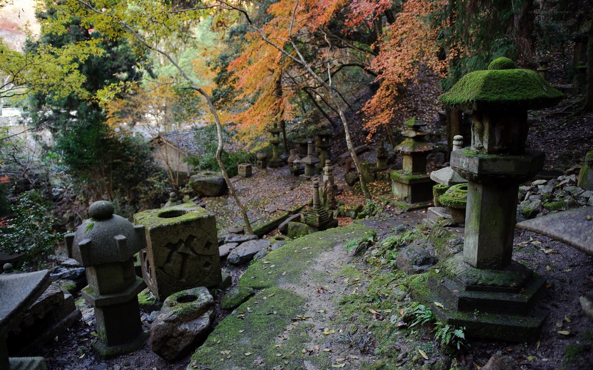 Moss-covered lanterns in autumn forest