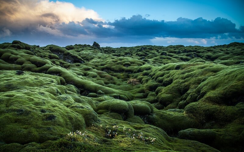 Moss-covered Lava Field — Green, Dramatic, Sunset