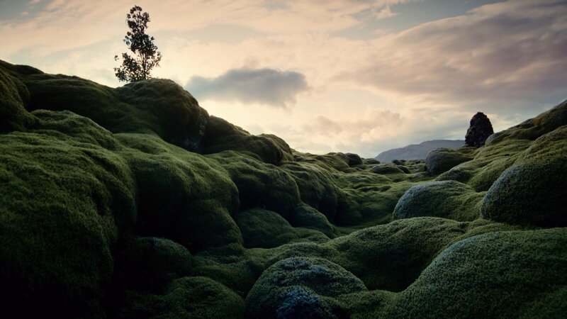 Moss-covered Lava Field — Green, Serene