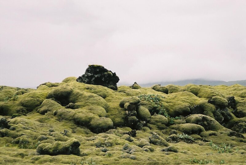 moss-covered lava field