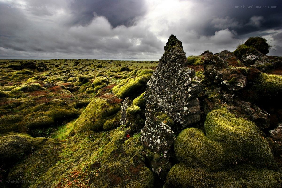 Moss-covered lava fields under stormy sky