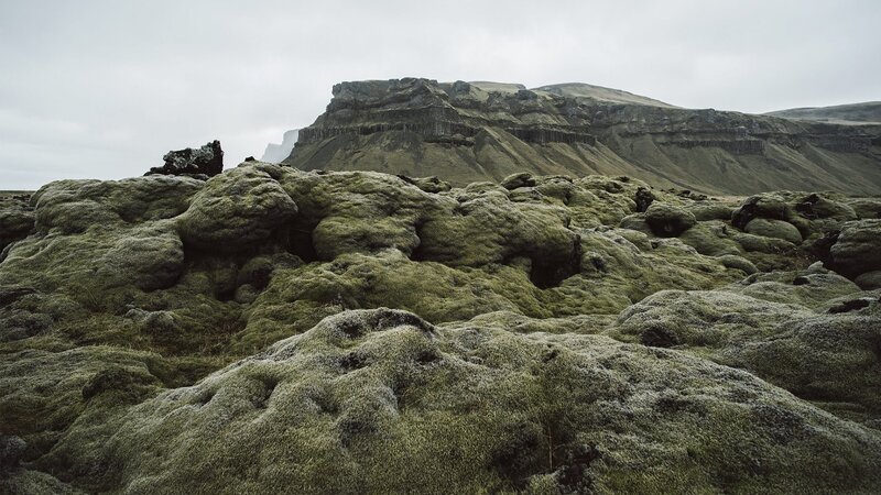 Moss-covered Lava Rocks