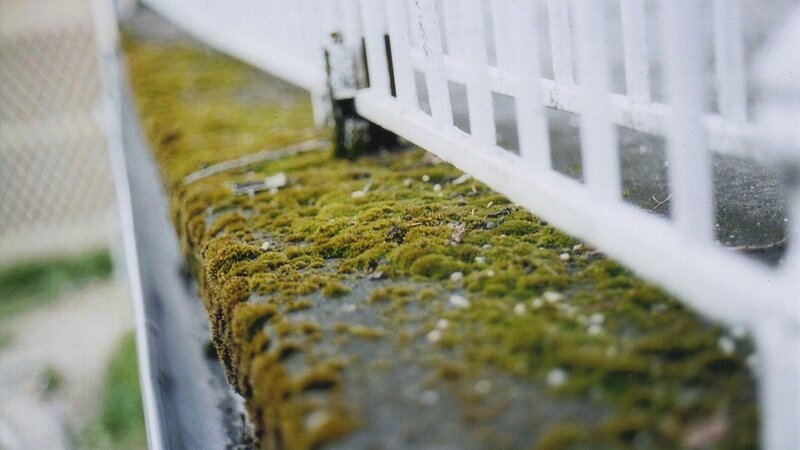 moss-covered ledge with white fence