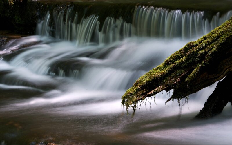 Moss-covered Log by Waterfall
