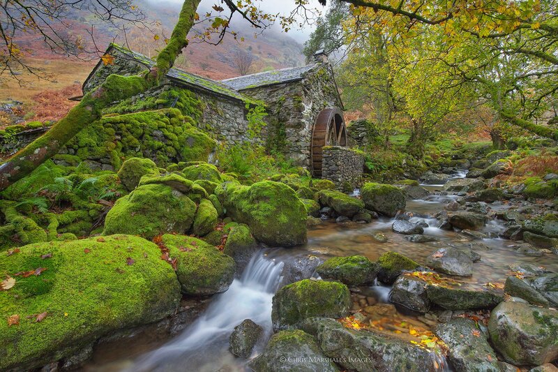 Moss-covered Mill by Stream — Green
