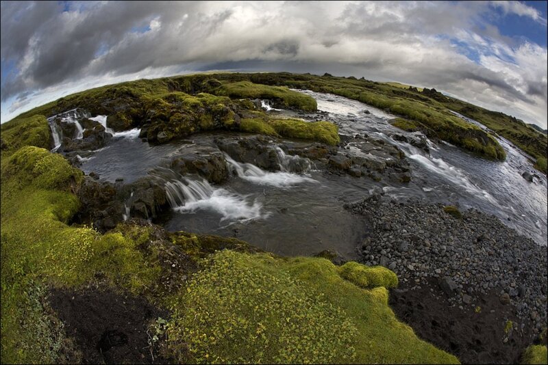 Moss-covered River