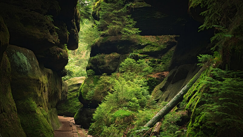 Moss-covered Rock Canyon