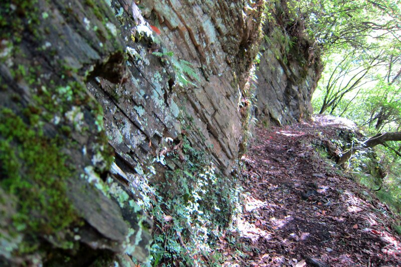 Moss-covered Rock Face