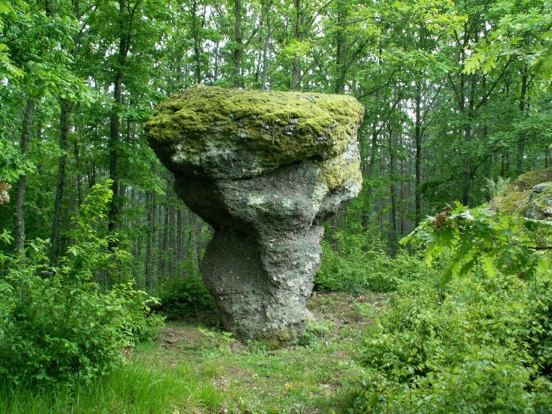Moss-covered rock formation in forest