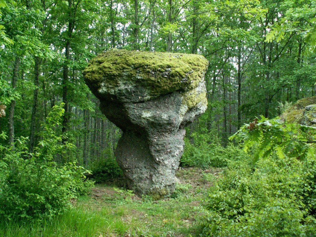 Moss-covered rock formation in forest