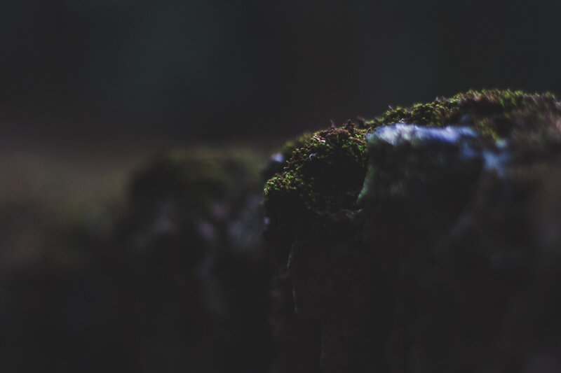 Moss-covered Rock — Green, Dark