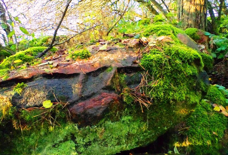 Moss-covered Rock — Green