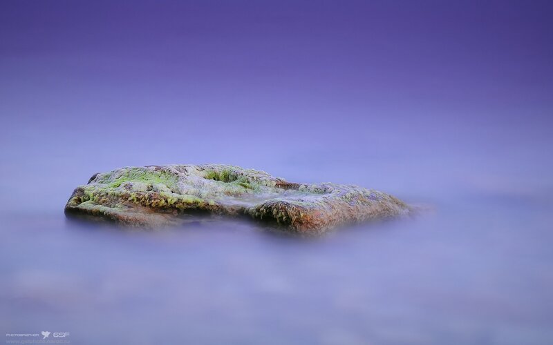 Moss-covered rock in calm water