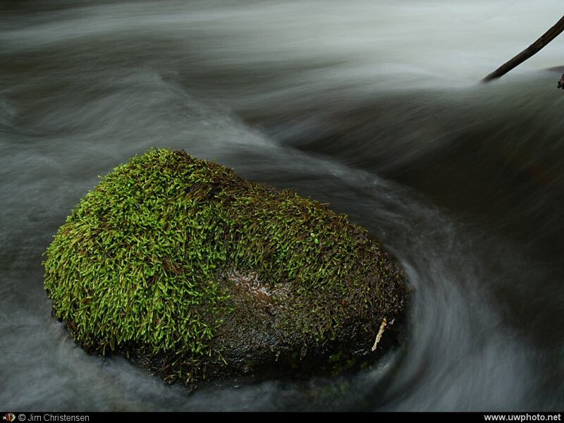 Moss-covered rock in flowing water
