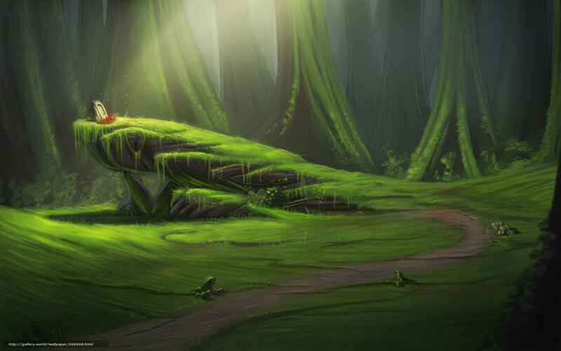Moss-covered Rock in Forest — Green, Serene