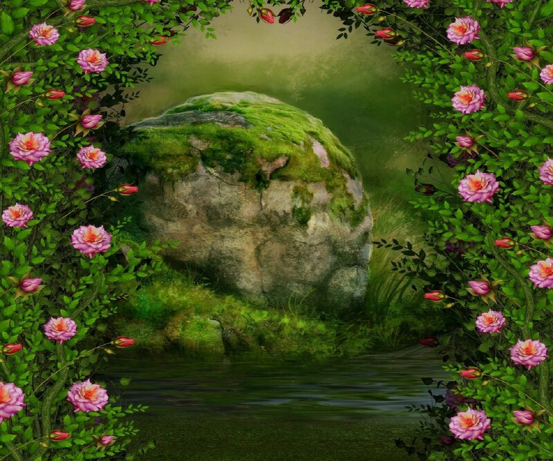 Moss-covered Rock in Garden