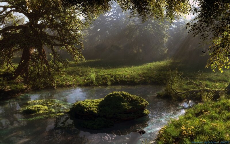 Moss-covered Rock in Stream — Green, Serene, Morning