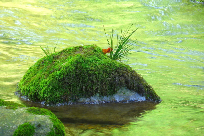 Moss-covered Rock in Stream — Green, Serene