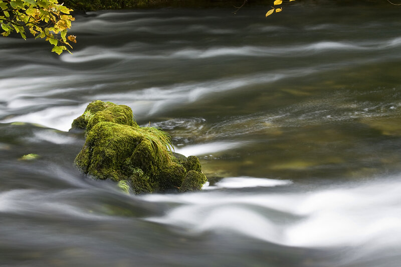 Moss-covered Rock in Stream — Green