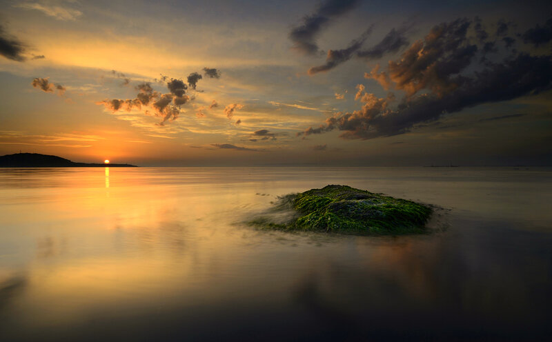 Moss-covered Rock in Water — Orange
