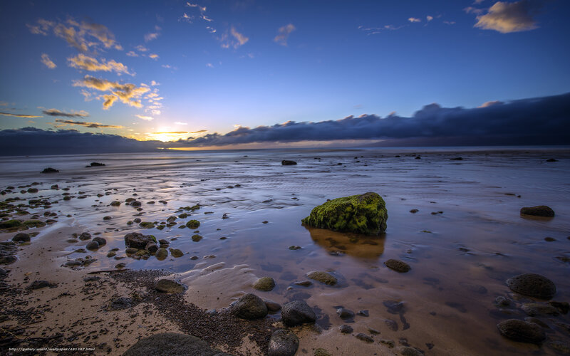 Moss-covered Rock on Beach — Blue, Serene, Sunset, Photograph
