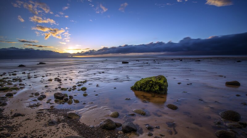 Moss-covered Rock on Beach — Blue, Serene, Sunset