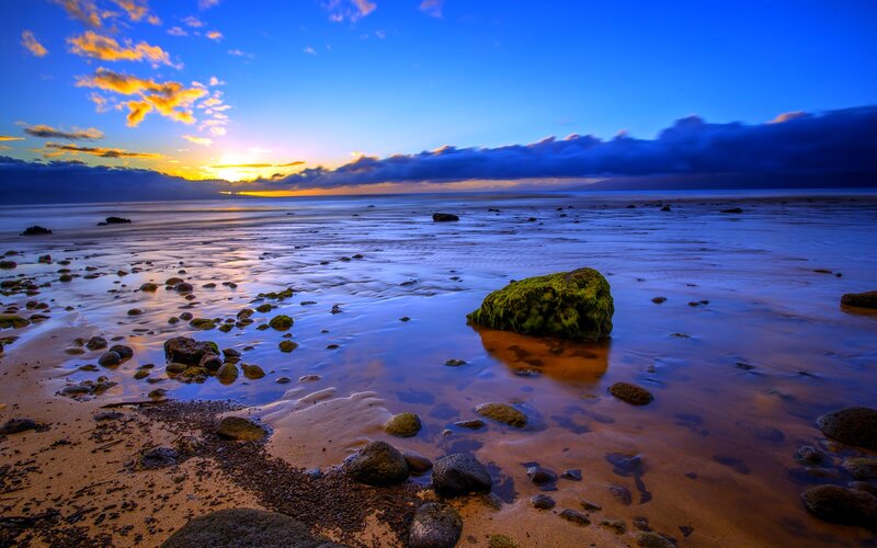 Moss-covered Rock on Beach — Blue, Serene
