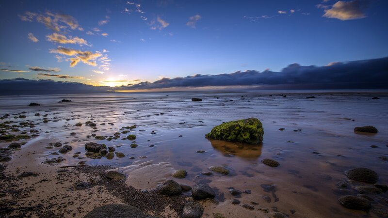Moss-covered Rock on Beach — Blue