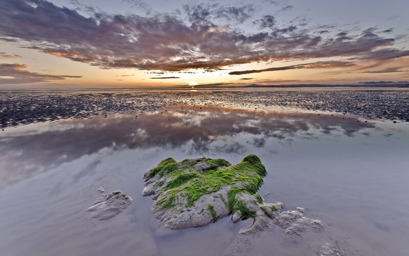 Moss-covered Rock on Beach — Green, Serene, Sunset, Photograph, Clouds