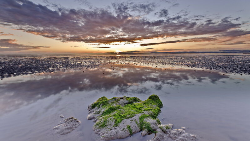Moss-covered Rock on Beach — Green, Serene, Sunset