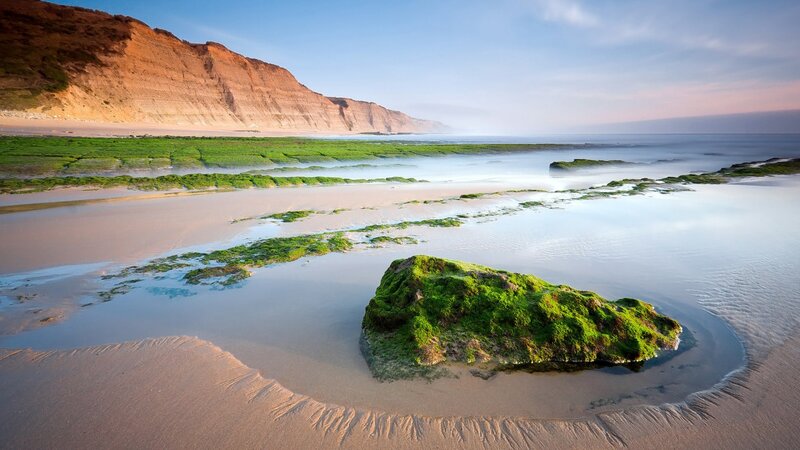 Moss-covered Rock on Beach — Green, Serene