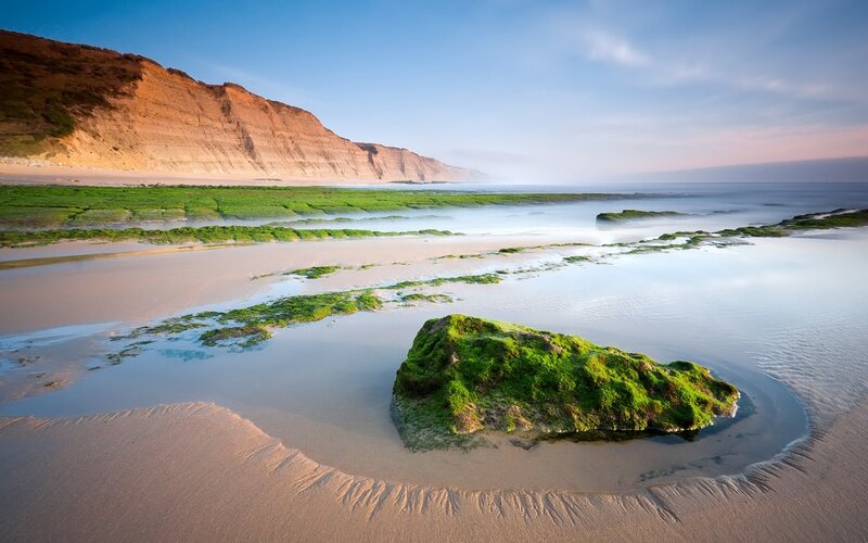 Moss-covered Rock on Beach — Green