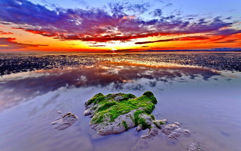 Moss-covered Rock on Beach — Orange, Dramatic, Sunset, Photograph