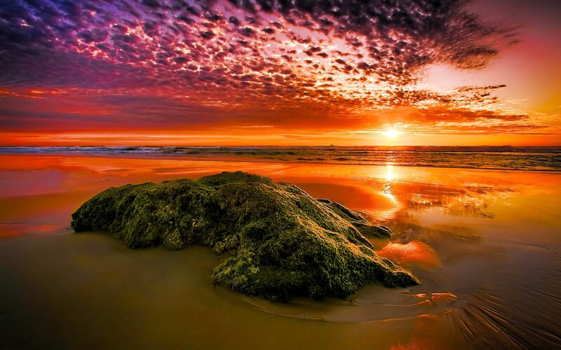 Moss-covered Rock on Beach — Orange, Dramatic, Sunset