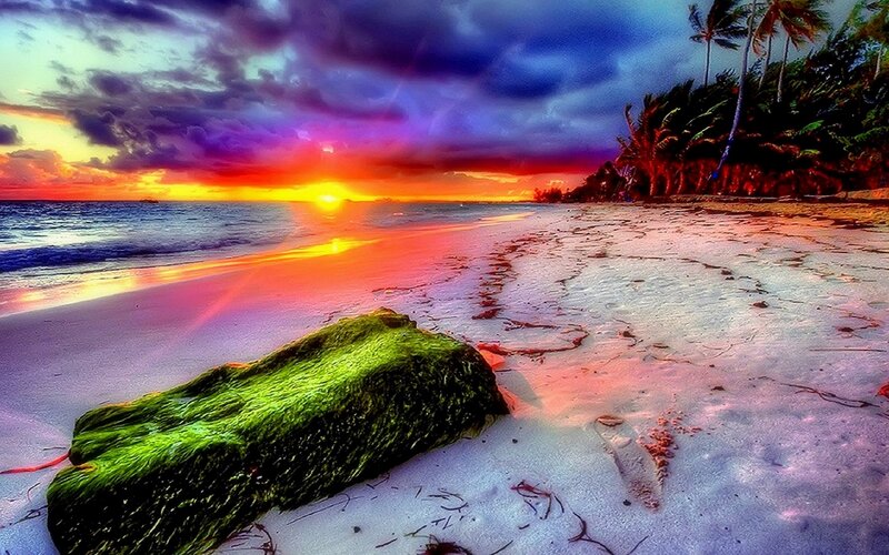 Moss-covered Rock on Beach — Purple