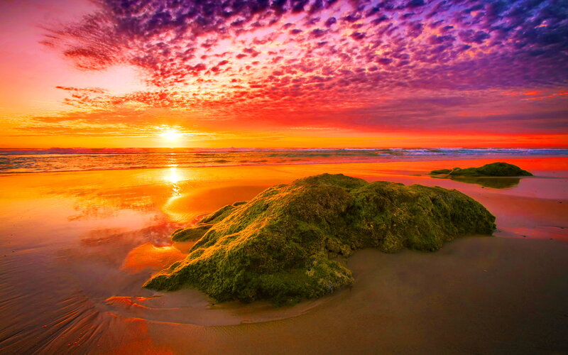 Moss-covered Rock on Beach — Red