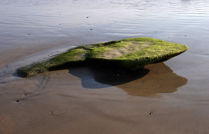moss-covered rock on beach