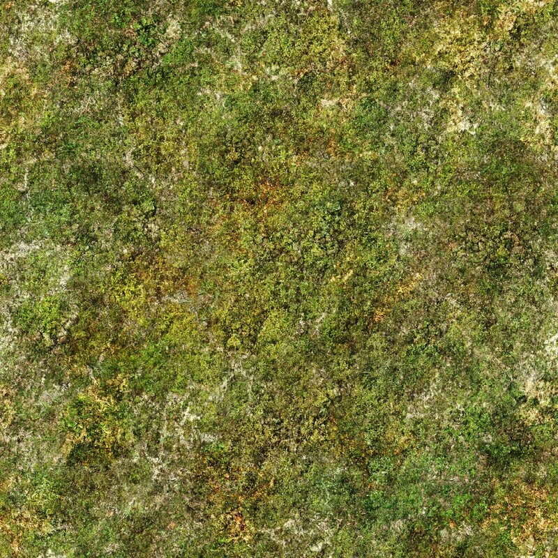 moss-covered rock surface